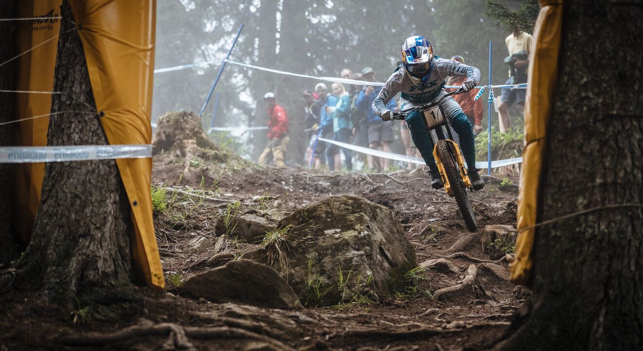 downhill world cup 2019